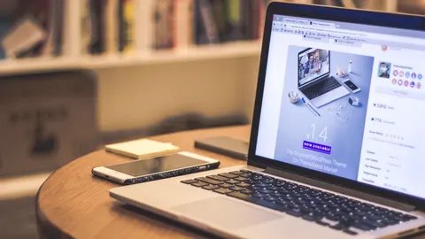 Shopify、WordPress 与定制开发怎么对照